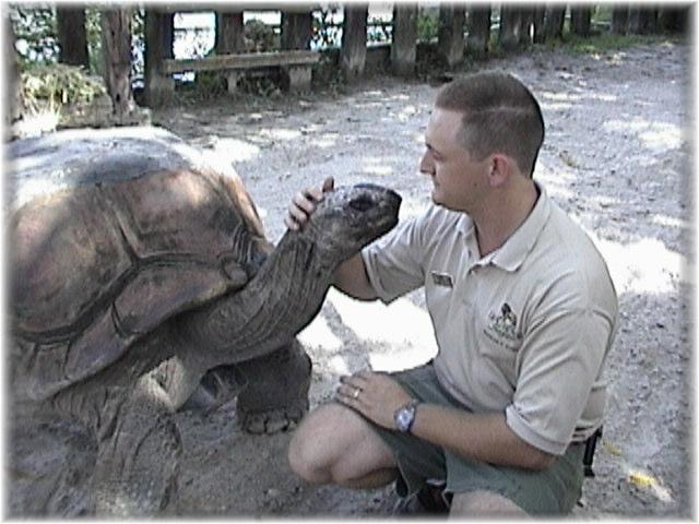 ALDABRA TORTOISE 0150